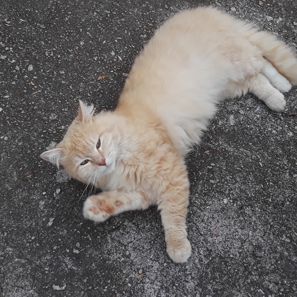 PLEASE SHARE SHARE - Picture 3 of 7